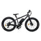 Burch Electric Mountain Bike Eagle
